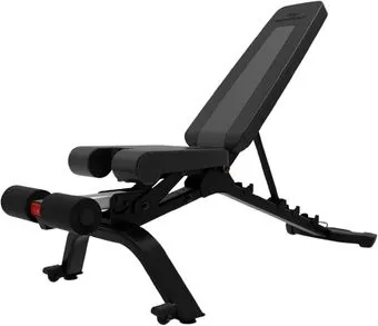 Bowflex SelectTech 4.1S