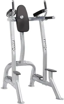 <?= Hoist Fitness CF-3252 (серебристый/черный) ?>