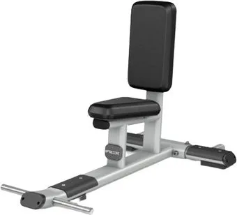 Precor Discovery Line DBR116 (глянцевый серебристый металлик/черный)
