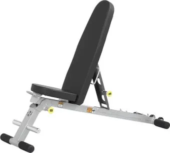 <?= Hoist Fitness HF-4145 (серебристый/черный) ?>