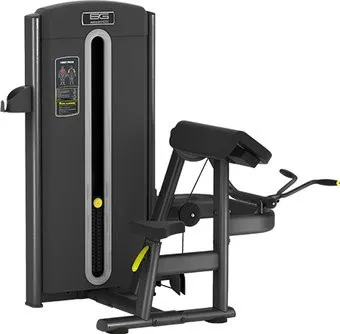 <?= Bronze Gym M05-006 ?>