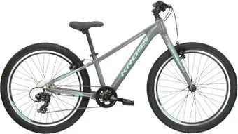 <?= Kross Lea JR 2.0 2022 (серый) ?>