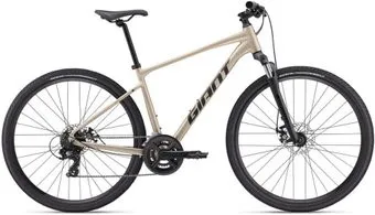 <?= Giant Roam Disc 4 L 2024 (sandshell) ?>