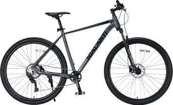 Nialanti Infiniti 29 HD р.19 2025 (графит, разобранный)