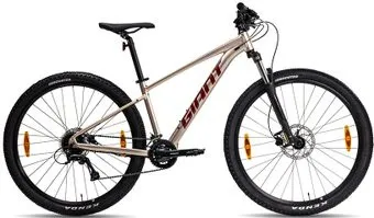 <?= Giant Talon 29 3 M 2024 (sandshell) ?>
