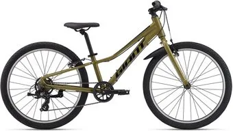 <?= Giant Talon 24 Lite 2024 (Dried Herb) ?>