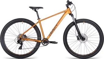<?= Aspect Nickel 29 XL 2025 (золотистый) ?>