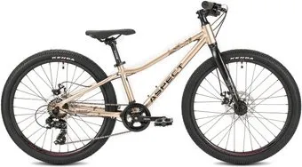 Aspect Aura Lite 24 2026 (золотистый)