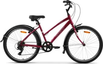 AIST Cruiser 1.0 W р.19 2025 (вишневый)