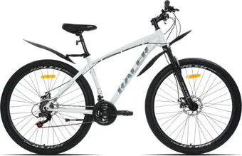 <?= Racer Boxfer 29 р.20 2025 (белый) ?>