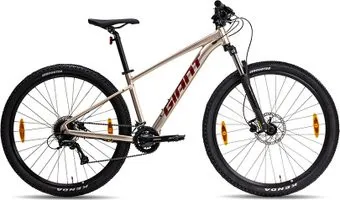 <?= Giant Talon 29 3 S 2024 (sandshell) ?>