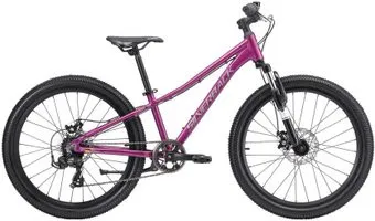 <?= Silverback Spyke 24D gen4 2026 (mulberry purple) ?>