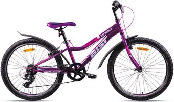 <?= AIST Rosy Junior 1.0 2023 (сиреневый) ?>