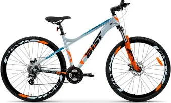 AIST Rocky 3.0 Disc 29 р.17 2024 (серый)