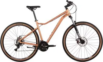 <?= Stinger Laguna 29 L 2025 (сахара) ?>