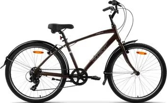 <?= AIST Cruiser 1.0 р.21 2024 (коричневый) ?>