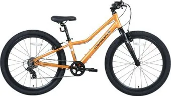 Maxiscoo 5Bike 24 2026 MSC-M5-2423 (оранжевый матовый)