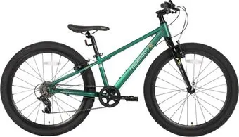 Maxiscoo 5Bike 24 2026 MSC-M5-2421 (зеленый матовый, разобранный)
