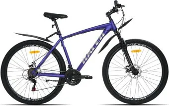 <?= Racer Boxfer 29 р.20 2025 (фиолетовый) ?>