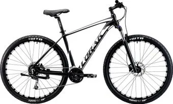 Lorak Sel 9700 р.19 2021