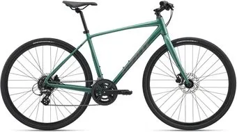 <?= Giant Escape Disc 3 L 2025 (Mineral Green) ?>
