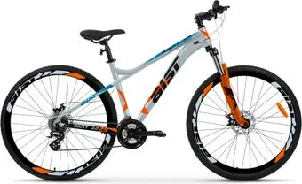 AIST Rocky 3.0 Disc 29 р.19 2025 (серый)