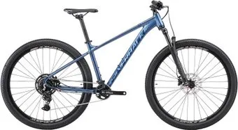 Silverback SE:Series 9 29 L 2025 (глубокий синий матовый/синий глянец)