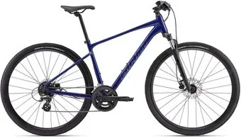 <?= Giant Roam 3 Disc L 2024 (blue) ?>