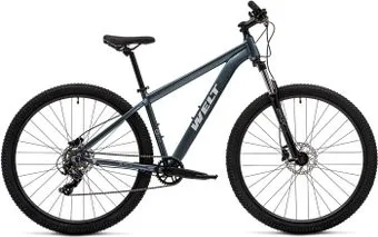 <?= Welt Storm 29 HD L 2025 (Calm Graphite) ?>