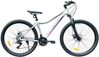 Greenland Artemida 27.5 р.16.5 2024 (серебристый)
