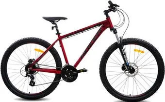 <?= Racer Expert 29 2023 (темно-красный) ?>