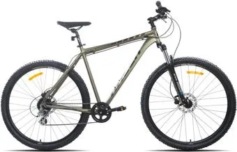 <?= Racer Expert 29 2023 (серый) ?>