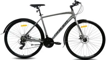 <?= Racer Alpina Man 2022 (серый) ?>