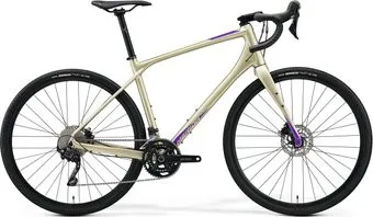 <?= Merida Silex 400 L 2022 (шампань/фиолетовый) ?>