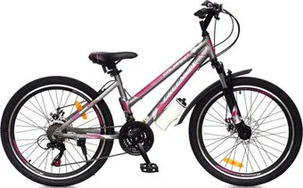 <?= Greenway Colibri-H 24 р.14 2021 (серый/розовый) ?>