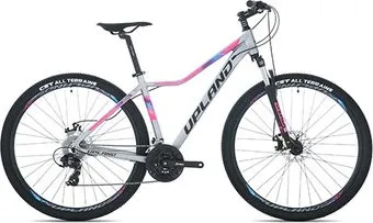 <?= Upland X100 29 17.5 2020 (серый) ?>