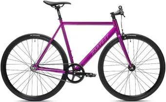 <?= Harvest Pace L 2026 (purple) ?>