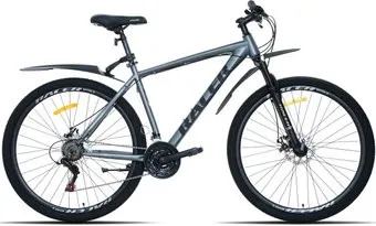 <?= Racer Boxfer 29 р.18 2026 (серый) ?>