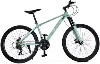 <?= Daurada D2-M097 р.17 (светло-зеленый) ?>