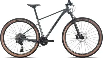 <?= Giant XTC 800 29 L 2025 (светлый графит) ?>