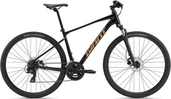 <?= Giant Roam 4 L 2025 (black) ?>