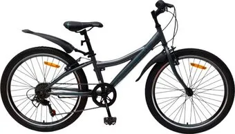 <?= Favorit DISCOVERY-24VS 2025 (серый) ?>
