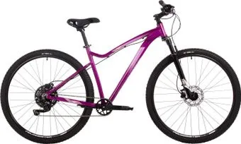 <?= Stinger Vega Evo 29 р.19 2024 (фиолетовый) ?>
