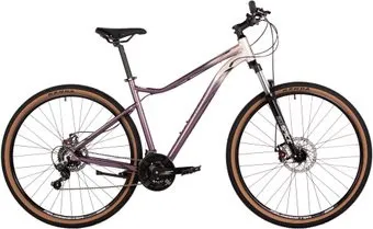 <?= Stinger Laguna 29 L 2025 (серебристый) ?>