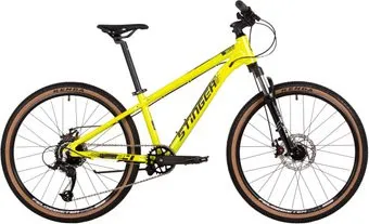<?= Stinger Element 24 2025 (зеленый) ?>