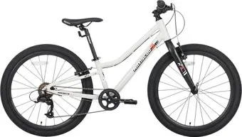 Maxiscoo 3bike 24 L 2025 MSC-M3-2403 (серый, разобранный)