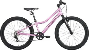 Maxiscoo 24 L200 2025 MSC-M5-2413 (розовый сапфир)