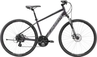 Avanti Discovery MS 1 XL 2025