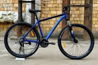 Reborn Ghost 29 р.21 2025 (матовый синий)