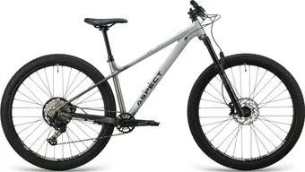 Aspect Ronin Elite 29 L 2025